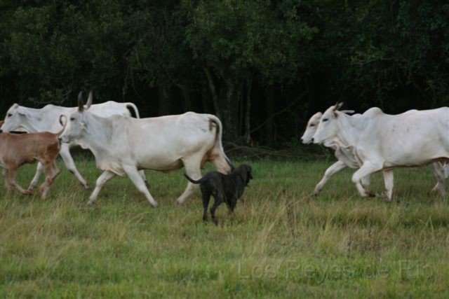 Februar 2013 064.JPG